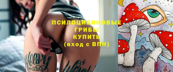 ГАЛЛЮЦИНОГЕННЫЕ ГРИБЫ Алексеевка